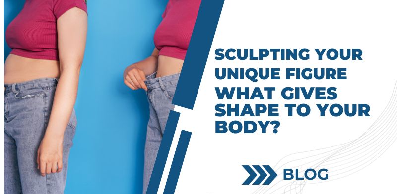 Sculpting Your Unique Figure: What Gives Shape to Your Body?